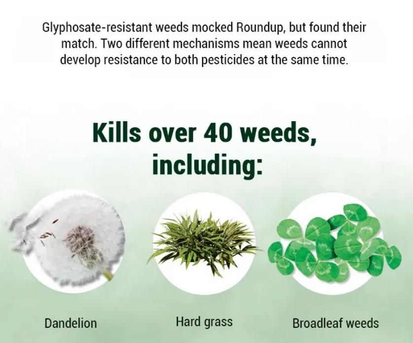 Max Power Herbicide: Dual-Action Weed Killer (Pack of 2)